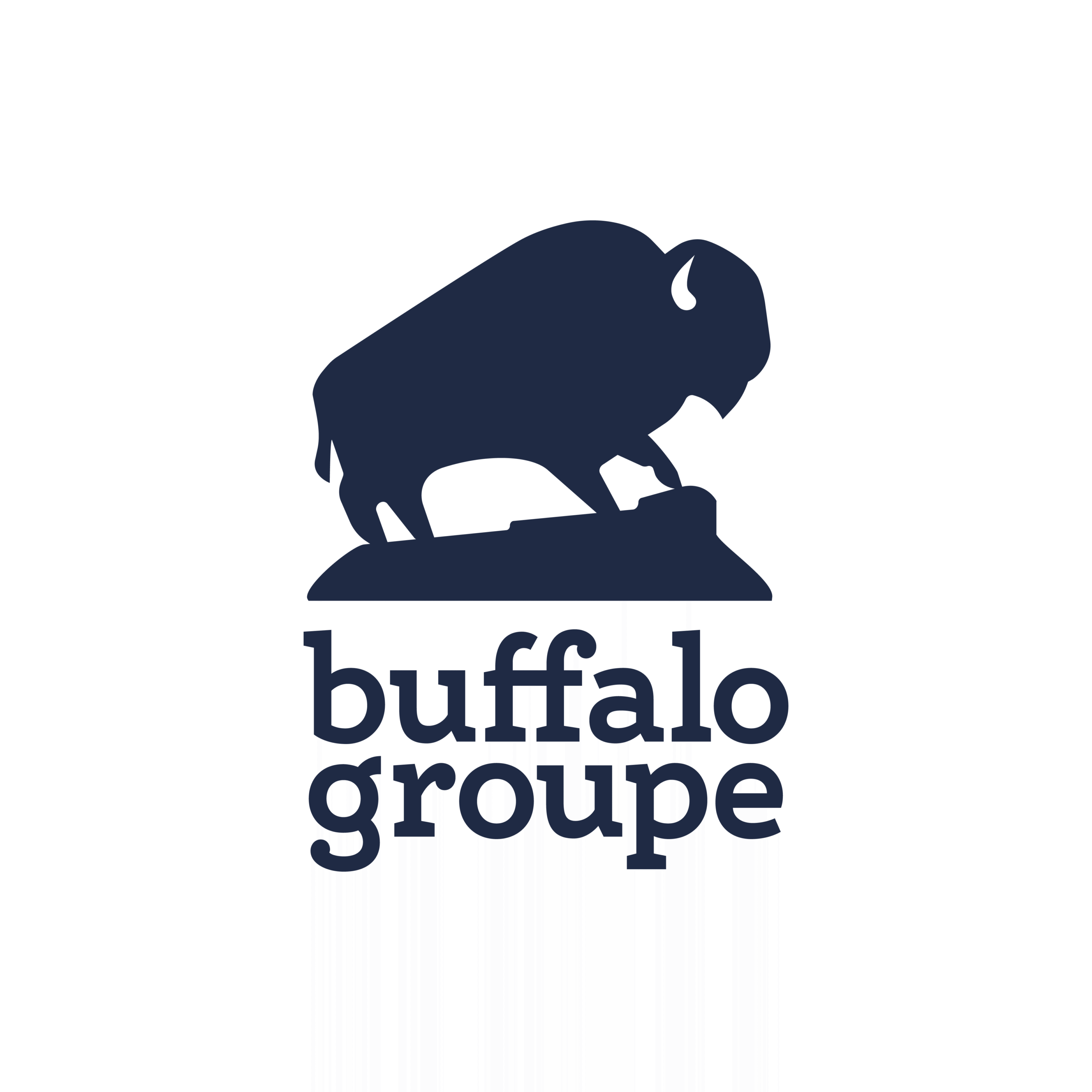 Buffalo Groupe Logo scaled